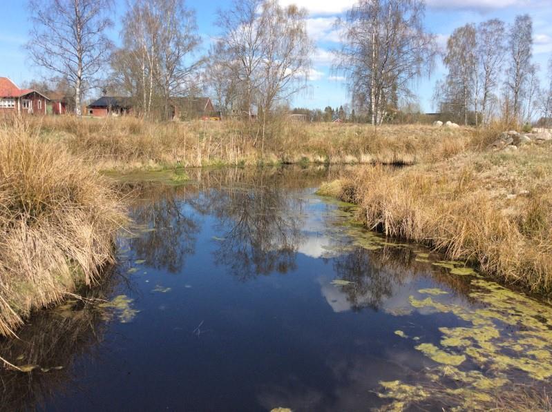 8. Naturvärdesobjekt 8 Klass 3 Påtagligt Småvatten Damm Visst biotopvärde Påtagligt Området bedöms ha ett visst biotopvärde kopplat till vattenmiljön och den variationen kring den.