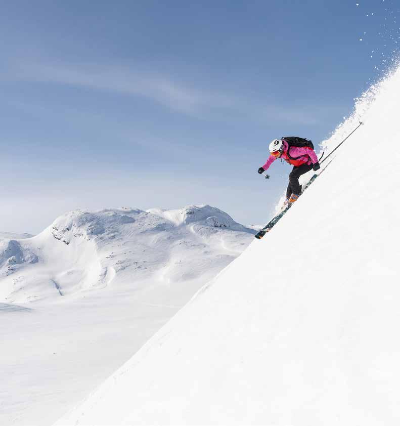 ÅRET SOM GÅTT VIKTIGA HÄNDELSER UNDER VERKSAMHETSÅRET KVARTAL ETT Fortsatt bra bokningsläge och goda snöförhållanden bäddar för ännu en bra vintersäsong Exklusiva SkiStar Lodge Hemsedal Suites, ny