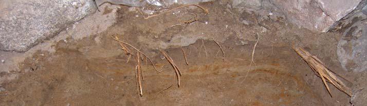 NORRBOTTENS MUSEUM DNR 556-2007 ÖSÖ), ned till 0,3 m djup. Schakt 1 (i rum F) grävdes i rummets SÖ hörn, 0,7 m från Ö väggen och 0,05 från S väggen.