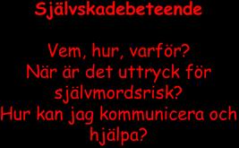 Psykopaten i ett nötskal: Psykopati har genomgripande effekter 1.