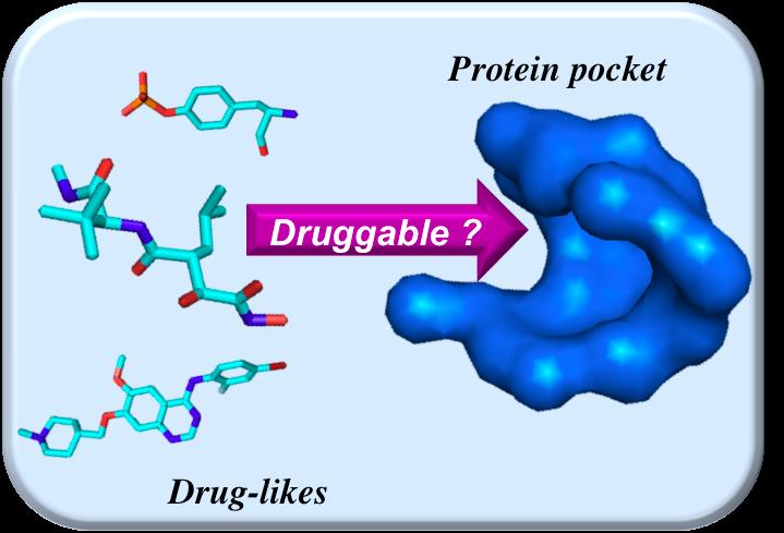 Drug discovery and development Druggability! Identifieringen av relevanta målmolekyler ( target identification ) är vanligen startpunkten i den moderna drug discovery-processen.