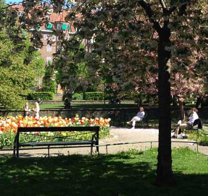 Inledning Ellen Keys staty i en grönskande omgivning. Muren mot Birger Jarlsgatan används flitigt i försommarsolen. Blommande körsbärsträd och lökplantering i Ellen Keys Park.