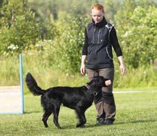 Officiell vad är det? Att en tävling är officiell betyder att hundens resultat registreras hos Svenska Kennelklubben (SKK).
