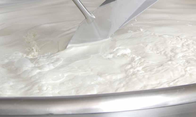 Med DeLaval för-kylningslösningar kan du nå de högsta nivåerna av mjölkkvalitet och lönsamhet genom en kraftfull omedelbar kylning som säkerställer en snabb