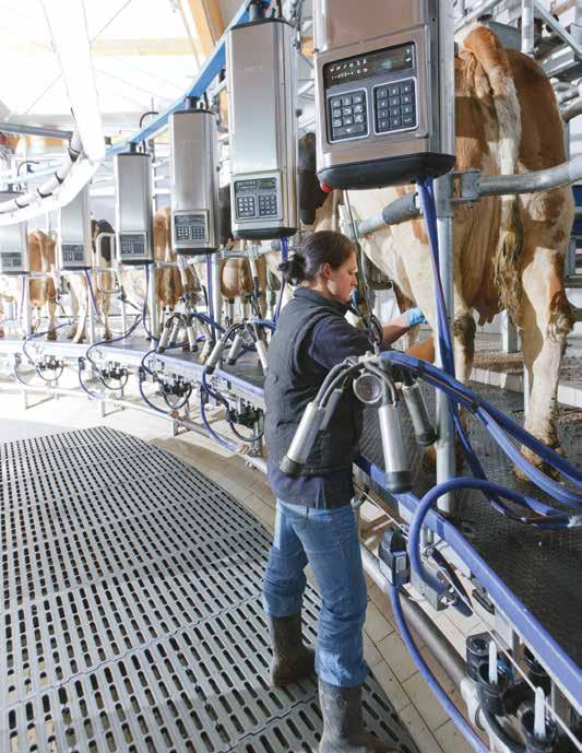 Kompletta roterande mjölkningssystems är så mycket mer än plattformen Vi erbjuder helt kundanpassade lösningar som är skräddarsydda för just din besättning, geografiska placering och verksamhet.