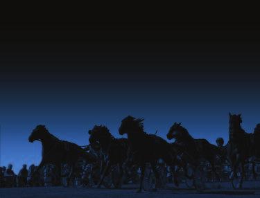 SUNLIGHT GIRL 9 17,6 M 17,0 AM 17,0 AK 60.400 8,br. s. e Smasher - 14: 0 0-0-0 0 13: 10 0-0-1 17,0a 18.000 Tot: 34 0-1-4 First Light e Spotlite Lobell Ulriks.