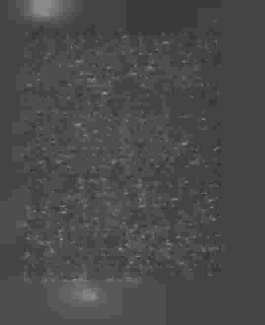 teri af växande trädfrukt vid två olika tillfällen att, enligt 20 kap. 1 och 3, jemförda med 4 kap.