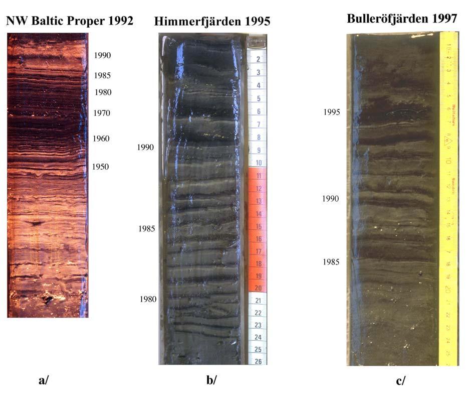 motsvarande dubbelt så hög som i områdena 5-7, 1449-1898 g/m 2 /år med ett medelvärde på 1715 g/m 2 /år.