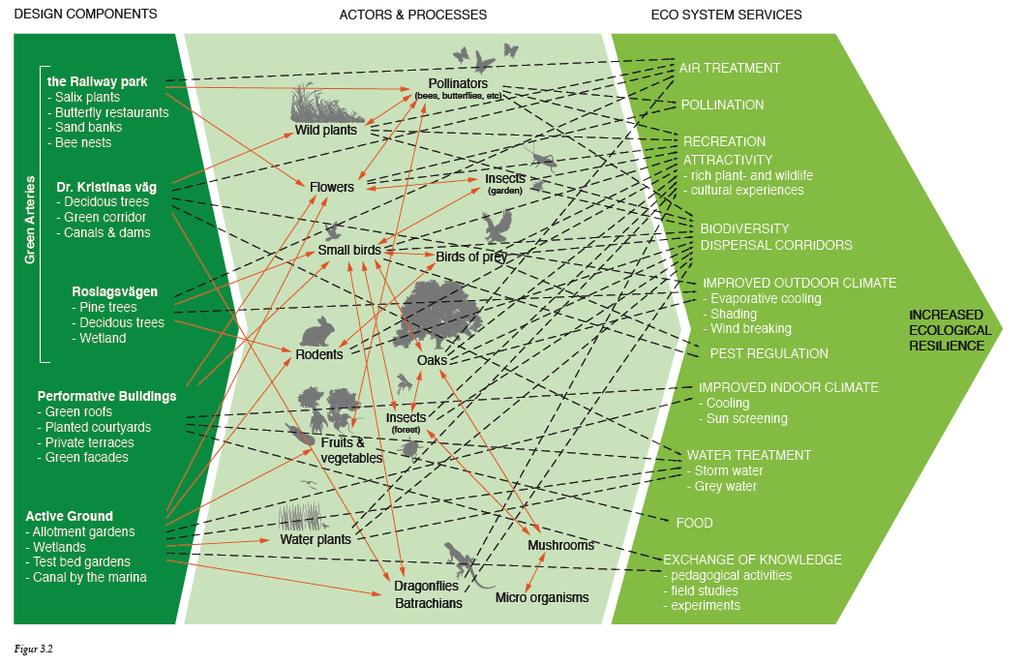 Ekosystemtjänster Rapport: Ekosystemtjänster i