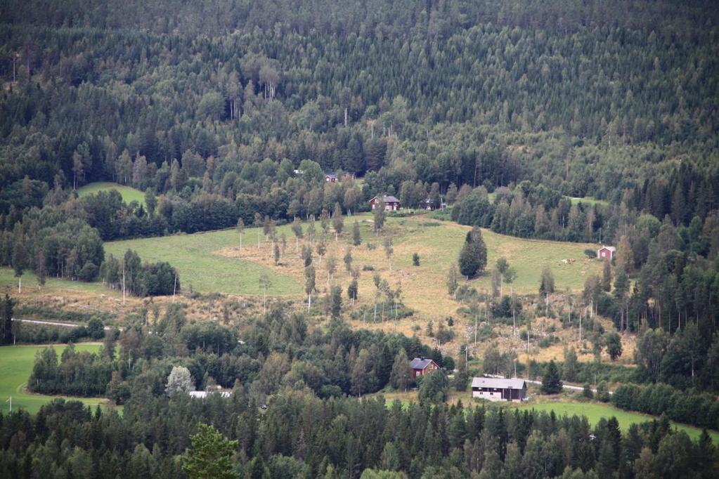 Upprättad 2016-05-10