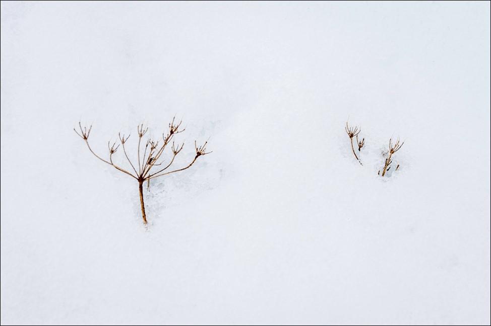 Negative Space Tidigare i vinter när jag kollade en av de fotonyhetssidor jag brukar följa på nätet dök rubriken "Negative Space" upp. Det var ett nytt uttryck som jag inte noterat tidigare.