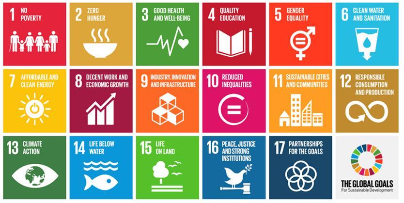 AMF -SDG 5. We can make a difference in gender equality by our active work in nomination committees in Sweden and when proxy voting in global equity holdings 12,13. Investments in renewable energy.
