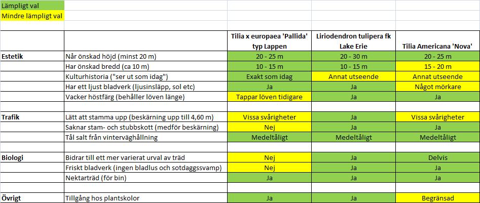 Förslag på trädarter till Linnégatan(forts.) Värdering av trädförslagen De tre utvärderade trädarterna har både fördelar och nackdelar. Alla tre är lämpliga för Linnégatan.