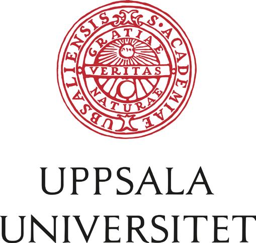 E-hälsotjänsters Påverkan på Sjukvårdspersonalens Arbetsmiljö