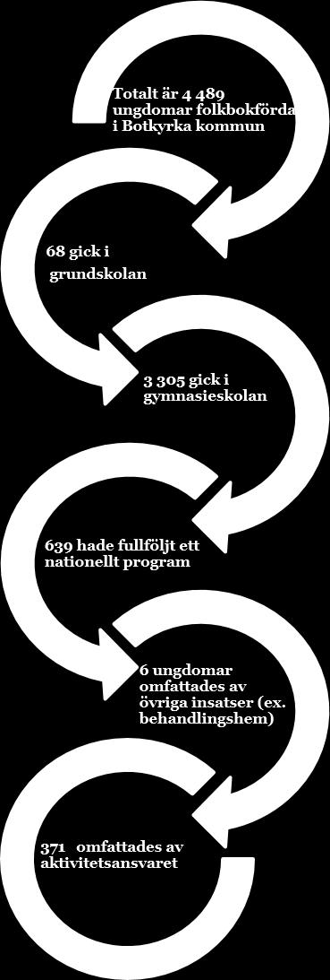 Figur 1. Fördelning avseende ungdomars sysselsättning i åldrarna 16-19 år 1. 3. Granskningsresultat 3.