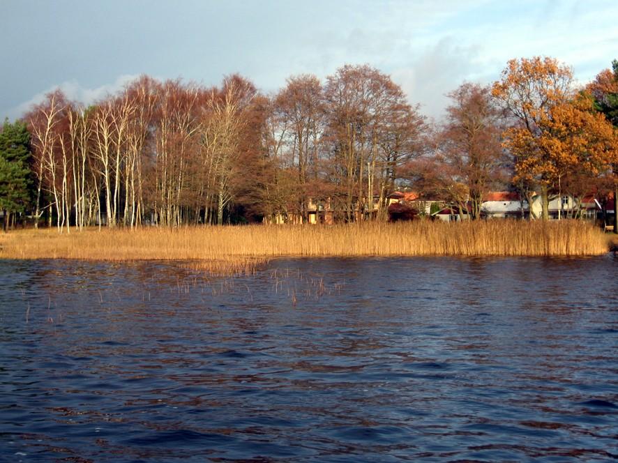 Rådén Företagsvägen 2, 435 33 Mölnlycke Tel 031-338 35
