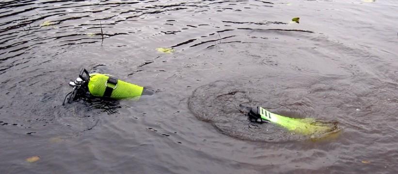 Inventering av makrofyter och stormusslor av dykare vid lokal 2.