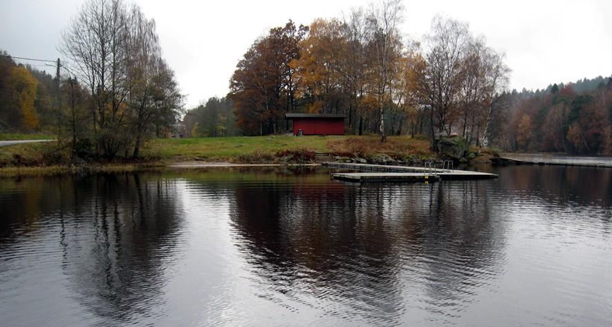 bäcksländan Nemurella pictetii. Sammantaget bedömdes bottenfaunan ha måttliga naturvärden. Övervattens- och flytbladsvegetation var sparsamt förekommande.