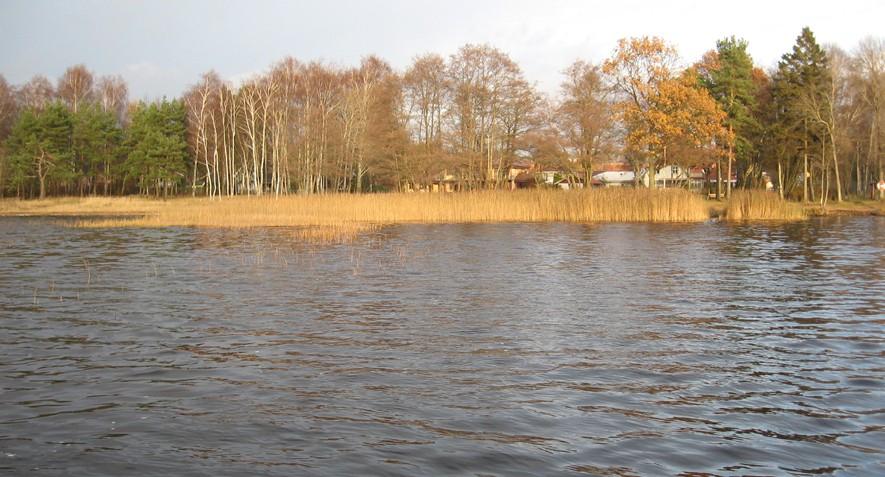 Lokalen dominerades av kortskottsvegetation. 13 arter påträffades (bilaga 4). Strandnära förekom mindre bälten med vass och flaskstarr.