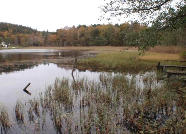 1. Landvettersjön, Arketjärn Datum: 2010-10-18 Kommun: Härryda Koordinat: 6399020/1281050 Södra stranden i Arketjärnen Expertbedömning Surhetsklass Status med avseende på eutrofiering Status med