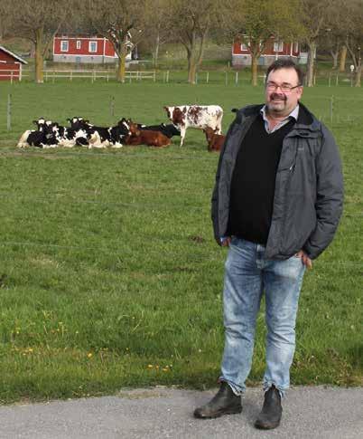 Henrik Norberg, DeLaval on-line rådgivare VMS. Mer mjölk med DeLaval stallkamera? Henrik Norberg är anställd som rådgivare på DeLaval och erbjuder rådgivning on-line till VMSgårdar.