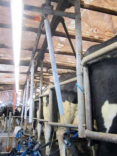 En sliten gammal mjölkningsanläggning mjölkar inte optimalt och är inte bekväm att arbeta i. Det går faktiskt att lyfta ett gammalt mjölkningsstall.