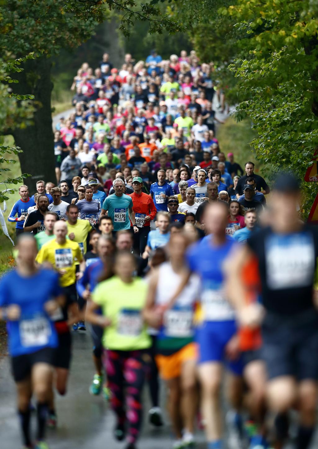 Pressinformation TCS Lidingöloppshelgen 2018 ÅRETS NYHETER Starkt startfält i framför allt damklassen.