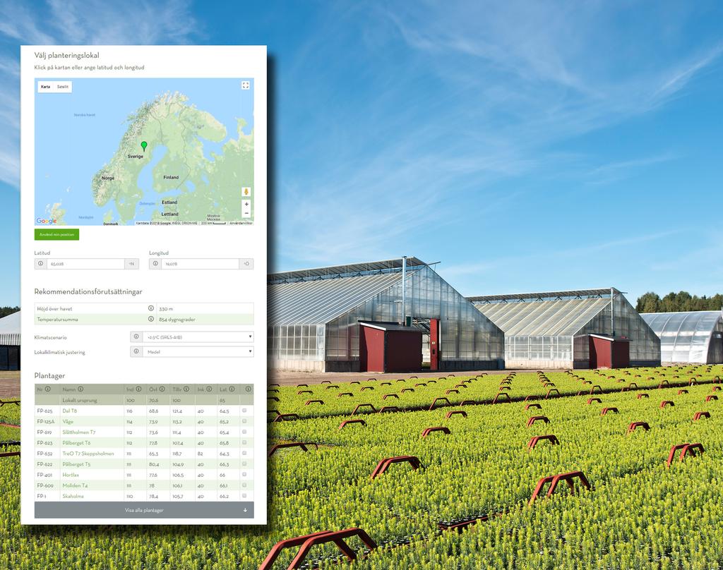 ARBETSRAPPORT 996218 PlantvalOptimal Effektivare och bättre användning av plantmaterial för större skogsinnehav PlantvalOptimal Improved and more
