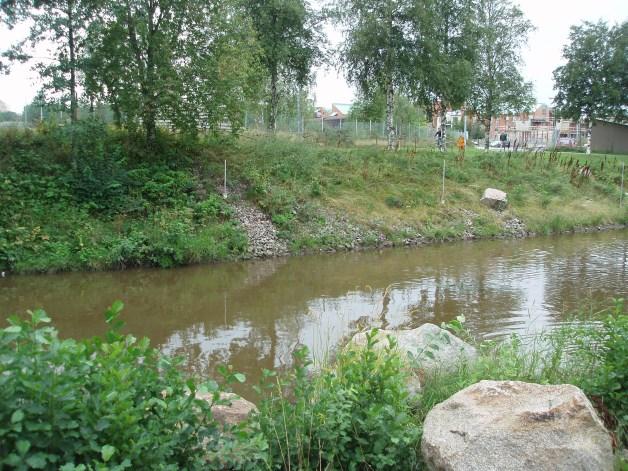 Bild 5: Lillån är kraftig påverkad av övergödning samt