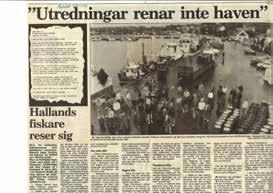 NYHETSRAPPORTERINGEN OM OLIKA HAVSMILJÖFRÅGOR 1968 2010 4000 Sändningstid sekunder/år i Rapports nyhetssändningar 3500 3000 2500 2000 1500 1000 500 Övergödning, algblomning, bottendöd Utfiskning och