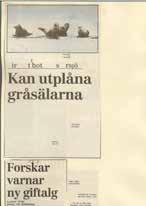 startade med att lungorna blev smittade, vilket indikerar att PDV