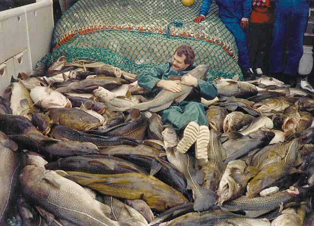 Forskaren Eero Aro inspekterar torskfångsten i den polska fiskezonen på det danska undersökningsfartyget U/F Dana i mars 1987.