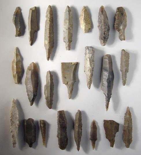 Fig. 13.