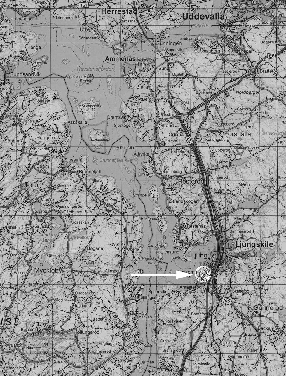 Fig. 2. Utsnitt ur Blå kartan, blad 81 Uddevalla, med platsen för undersökningen markerad. Skala 1:100 000.