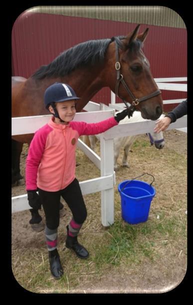 med din häst, träffar kompisar och ha kul i stallet - Går skötarutbildning så du lär dig mer om hästar - Hjälper till när hästarna rids/tas hem från betet mm.