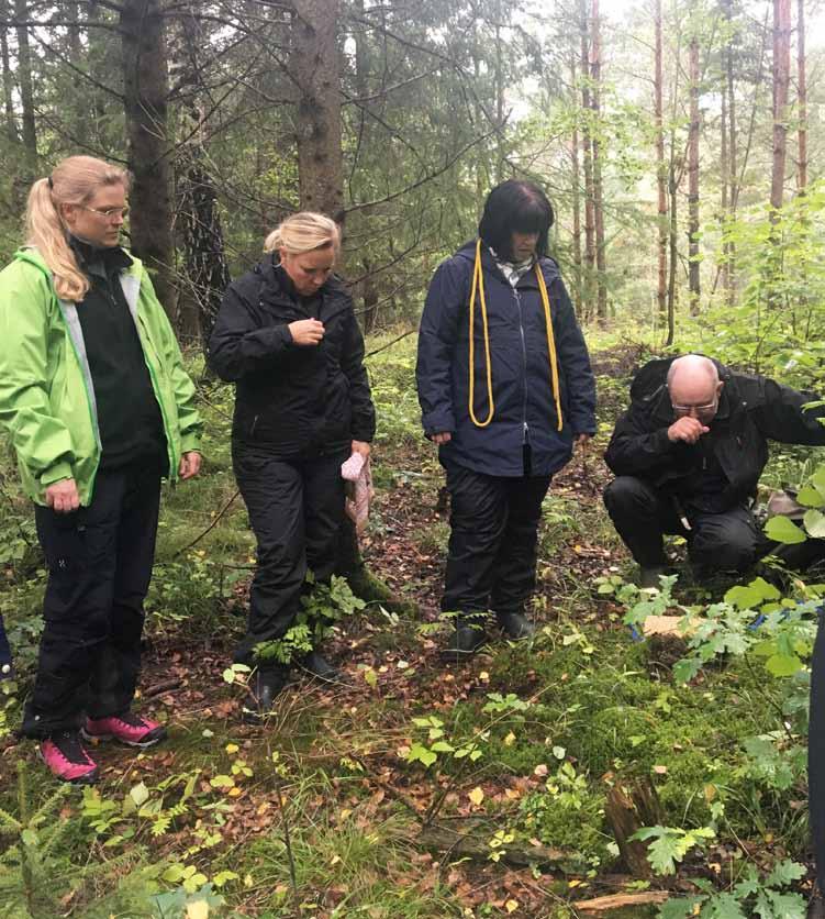 Multifunktionella aktiviteter på nordiska golfanläggningar en