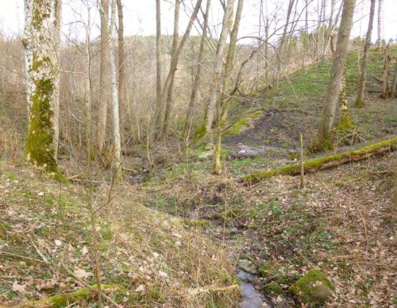 Bäckravinen vid Rotviksbäckens biflöde Regionalt naturvärde Grova ädellövträd, intressant flora, rikt fågelliv,