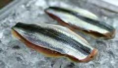 Portionsskuren HANDSKALADE RÄKOR, MSC I lake, sjökokta 1,5 kg/hink (avrunnen vikt) Best.