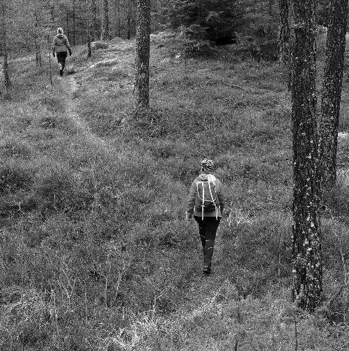 hänsynsarbete för skogsbruket, dock görs alltför för lite alldeles för sent i nuläget.