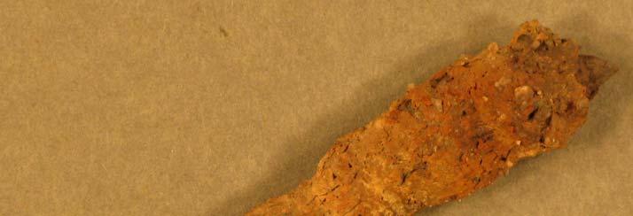 j Särskilda iakttagelser Föremål nr 149 hade en skör krusta som skulle kunna vara järnkorrosion uppblandat med ett organiskt material, t ex läder som i så fall är helt mineraliserat.