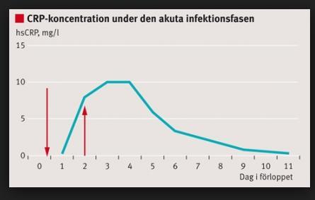 CRP-koncentration under den