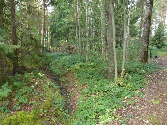 OMRÅDE A: Lövdominerad blandskog på frisk till fuktig mark Naturvärdesklass C (fuktmarken värde B2 ) Beskrivning: Frisk till fuktig mark som mestadels är lövdominerad med björk och klibbal med inslag