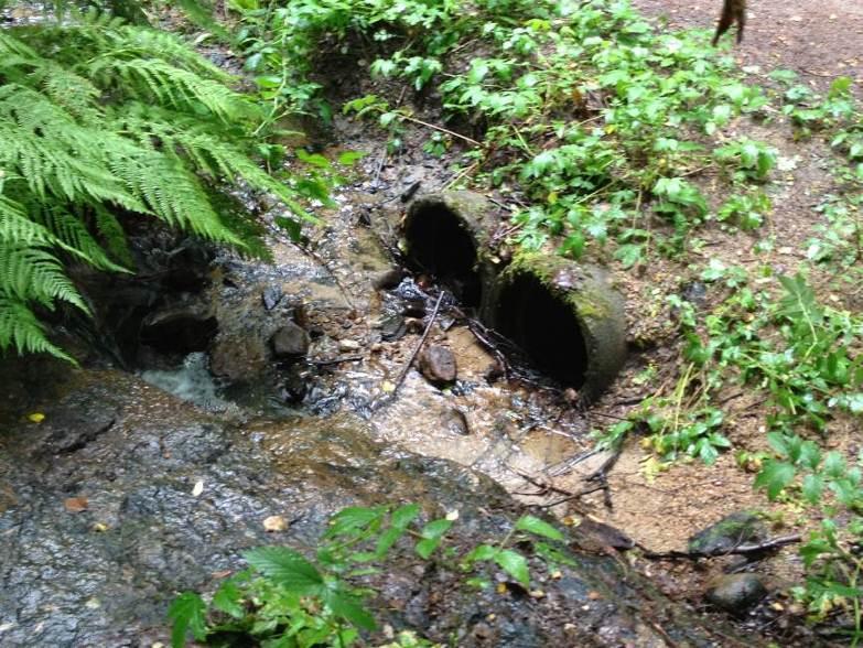 13 (40) Figur 12. Lilla Sisjöbäcken vid kulvertering under norra ridslingan Lilla Sisjöbäckens avrinningsområde omfattar normalt omkring 6,7 ha, varav ca 0,3 ha utgörs av hårdgjorda ytor.