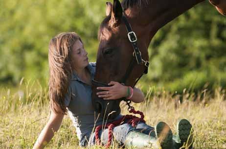 Marknad 21 Marknad Globalt omsatte veterinärläkemedelsindustrin 22 mdr USD under 2011. Marknaden visar på en genomsnittlig årlig tillväxt om cirka 6,7 procent de senaste tio åren.