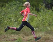 Vidare fanns svårforcerad mark markerade med gröna streck och på kalfjället betydde det oftast buskage med fjällbjörkar.