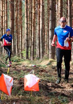 Gymnastikredskap 24. iniantal 26. Gulgrå 28. Det kan vara ibland 30. Övningsstycke 32. Är basisk 33. Går över 34. Tog sig fram på rygg 36. kinnarmo 39. Lya 41.