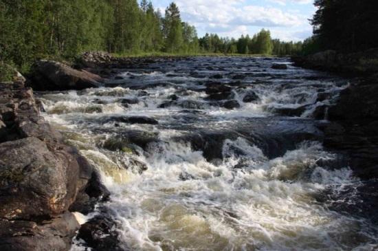 tv: i båthus eller på stenar under båthus, samt underst th: på stenar och stränder under broar. Foto: J.