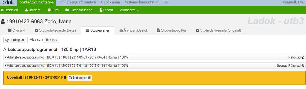 Har man valt att minimera informationen om programtillfället i fliken