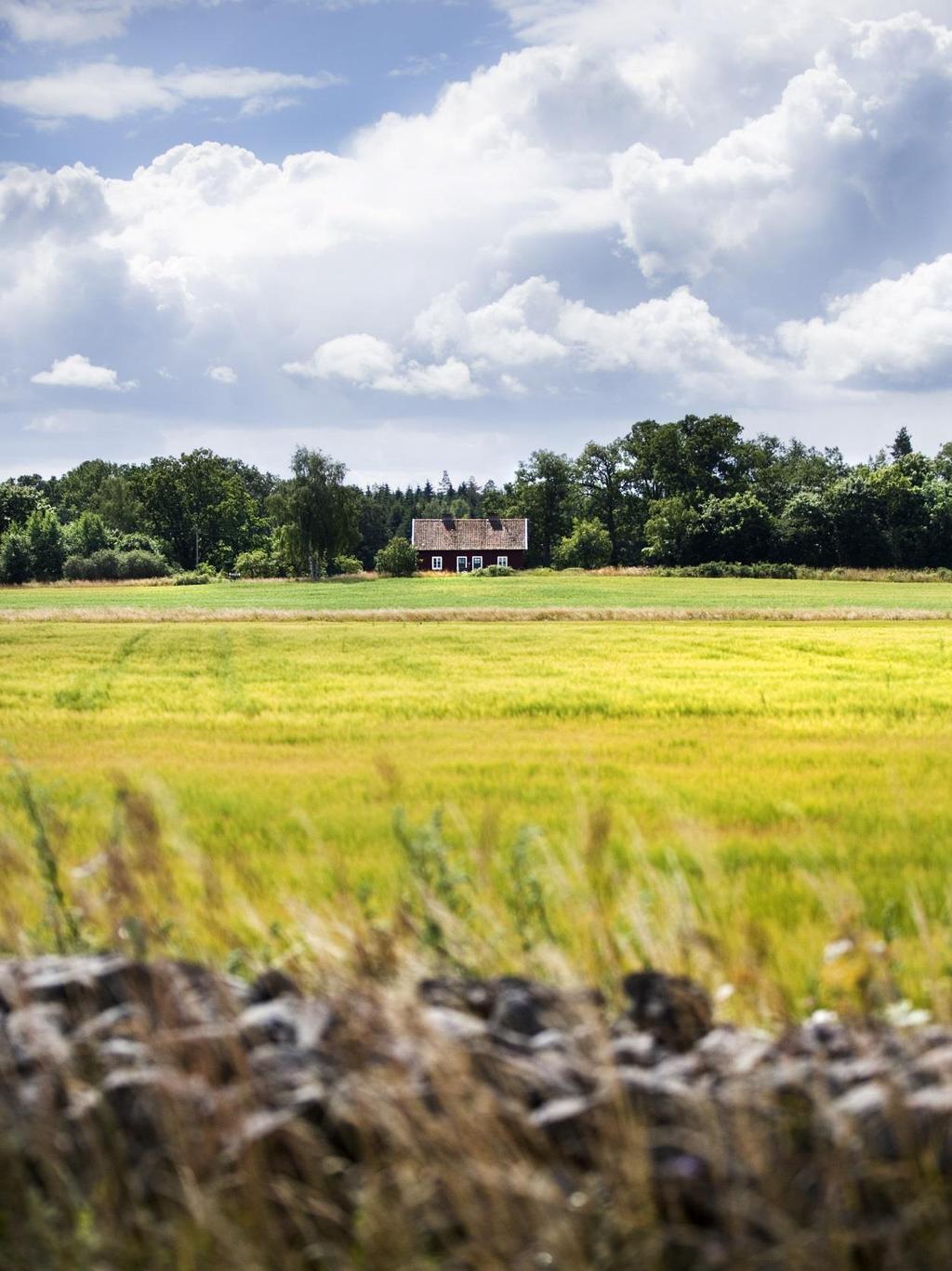 Betydelsefullt odlingslandskap Kalmar län har Ett världsarv i kategorin levande kulturlandskap Bred och djup kompetens inom