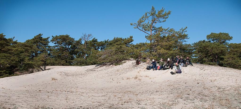 Inledning Syftet med Sand Life är att de sandiga markerna i södra Sverige återigen ska få ett myllrande växt-och djurliv.